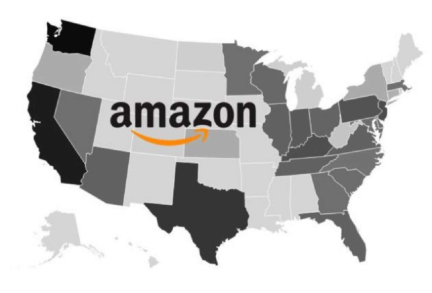 Amazon's Growing Online Marketplace