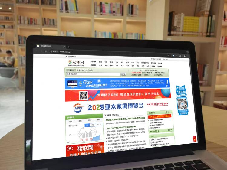 手工羽毛扇網(wǎng)站如何憑借傳統(tǒng)工藝傳承擴(kuò)大流量？同行都是怎么做的？