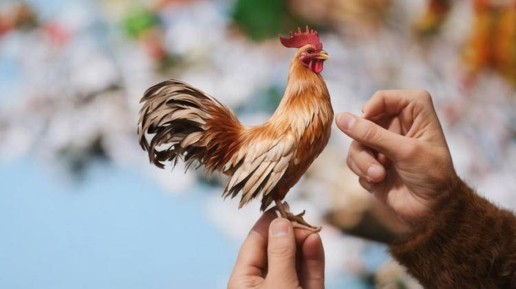 手工羽毛扇網(wǎng)站如何憑借傳統(tǒng)工藝傳承擴大流量？同行都是怎么做的？